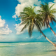 Photo credit: Shutterstock